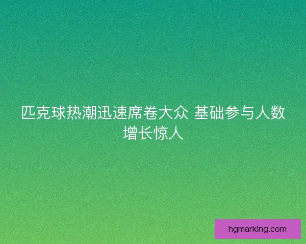 匹克球热潮迅速席卷大众 基础参与人数增长惊人 匹克球热潮迅速席卷大众 基础参与人数增长惊人
